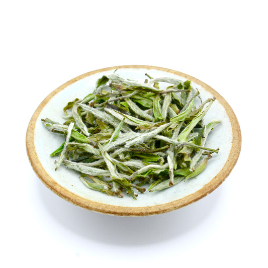 Wild Bai Mu Dan King 荒野 白牡丹王