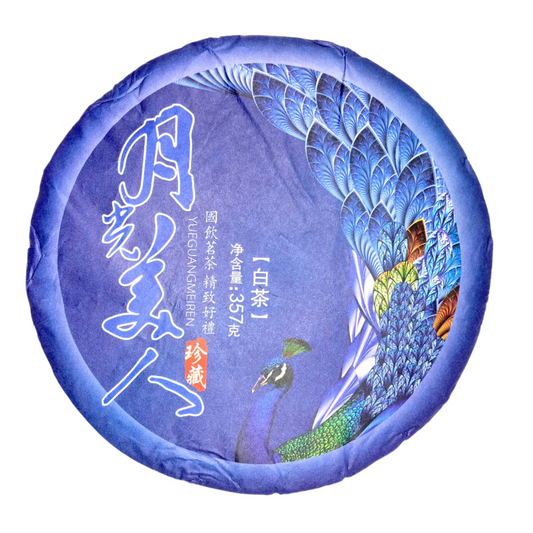 Ailao Mt. Moonlight Beauty 哀牢山 月光美人